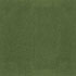 MOSS/lana_22_moss.jpg MOSS/lana_22_moss.jpg